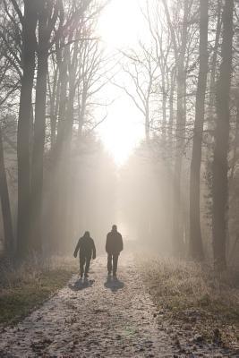 Read Online Walking Home Through the Woods Journal: 150 Page Lined Notebook/Diary -  file in PDF