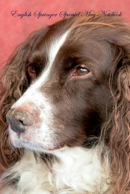 Download English Springer Spaniel May Notebook English Springer Spaniel Record, Log, Diary, Special Memories, To Do List, Academic Notepad, Scrapbook & More - Spaniel World | ePub
