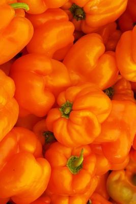 Read The Orange Bell Peppers Journal: 150 Page Lined Notebook/Diary -  file in ePub