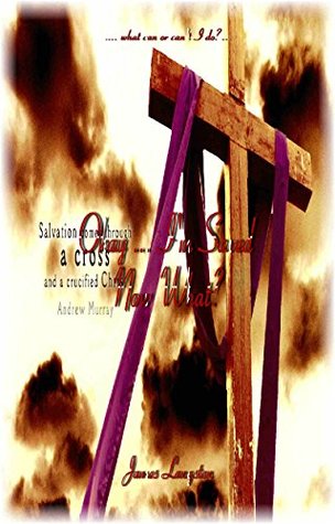 Read Online Okay  I'm Saved: Now What?:  what can or can't I do? - James Langston | ePub