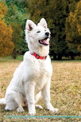 Full Download Swiss Shepherd Affirmations Workbook Swiss Shepherd Presents: Positive and Loving Affirmations Workbook. Includes: Mentoring Questions, Guidance, Supporting You. - Live Positivity file in ePub