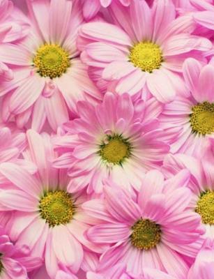 Download Notebook: 200 Page Wide Ruled Paper Journal Notebook. Glossy Cover to Protect Your Notebook. -  file in ePub