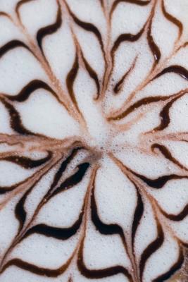 Read Online Latte Art Notebook: Blank Lined Journal for Coffee Lovers - Fun Espresso Coffee Foam Note Book, Pad or Diary with Lines to Write In - Christmas, Birthday, Mother's Day or Father's Day Gift for Women, Men & Teens - College Ruled - 120 Pages - Size 6x9 - Just Coffee Publishing | PDF