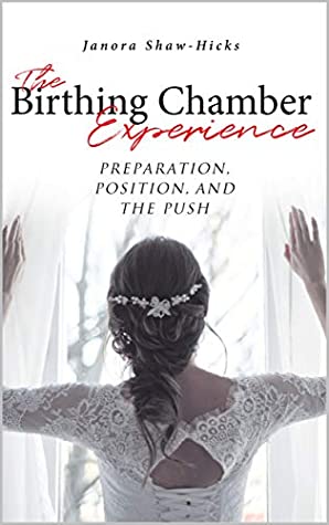 Full Download The Birthing Chamber Experience : Preparation, Position, and the Push - Janora Shaw-Hicks | ePub